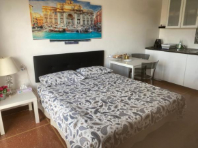 Cosy loft close to saint Peter square